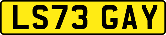 LS73GAY