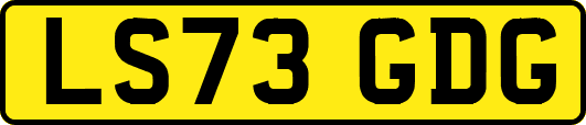 LS73GDG