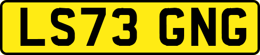 LS73GNG