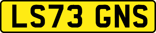 LS73GNS