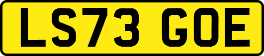 LS73GOE