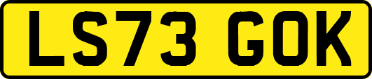 LS73GOK