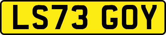 LS73GOY