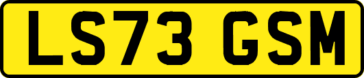 LS73GSM