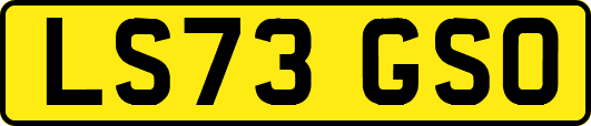 LS73GSO