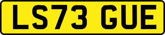 LS73GUE