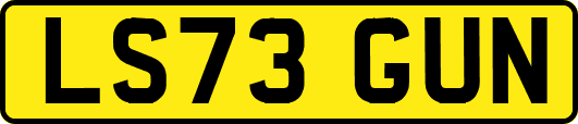 LS73GUN