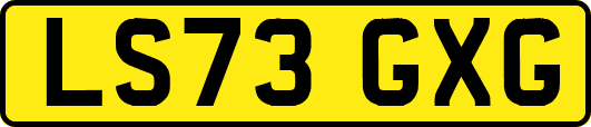 LS73GXG