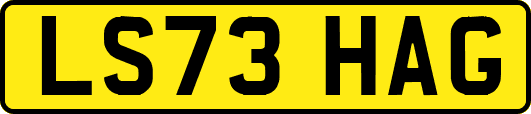 LS73HAG