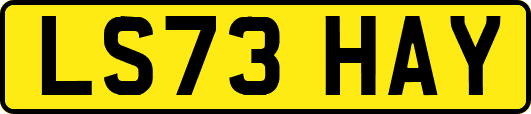 LS73HAY
