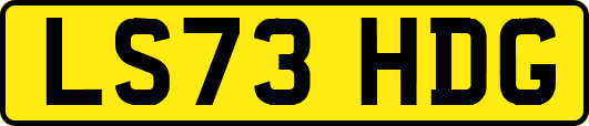 LS73HDG