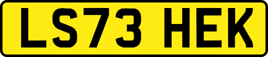 LS73HEK