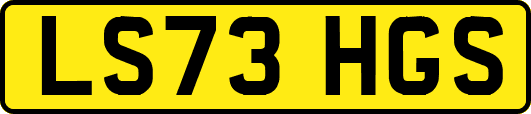LS73HGS