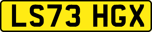 LS73HGX