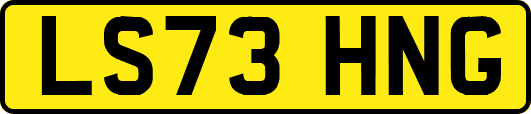 LS73HNG