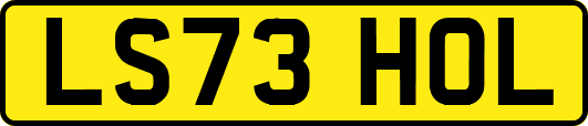 LS73HOL