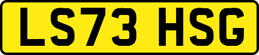 LS73HSG