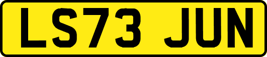 LS73JUN