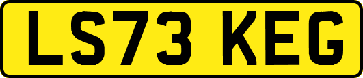 LS73KEG