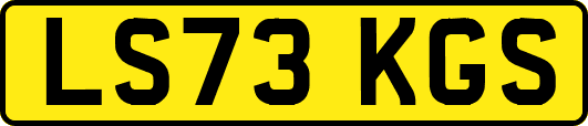 LS73KGS