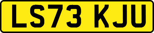 LS73KJU