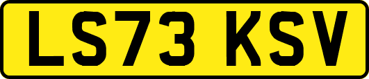 LS73KSV