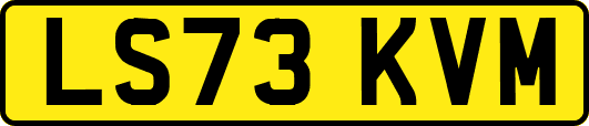 LS73KVM