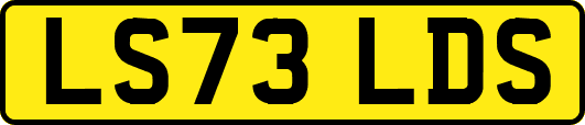 LS73LDS