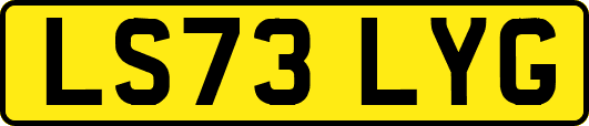 LS73LYG