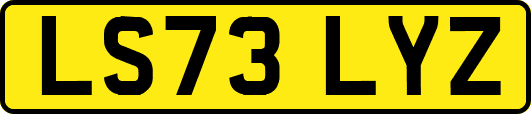 LS73LYZ