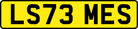 LS73MES