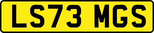 LS73MGS