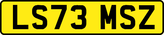 LS73MSZ