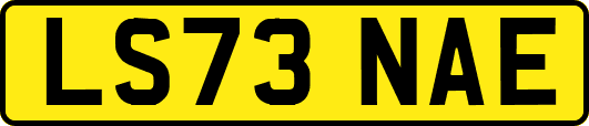 LS73NAE