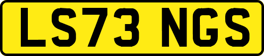 LS73NGS