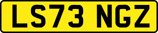 LS73NGZ