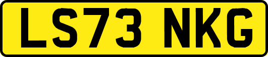 LS73NKG