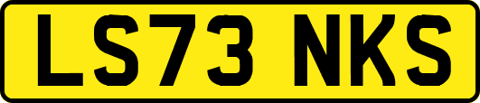 LS73NKS