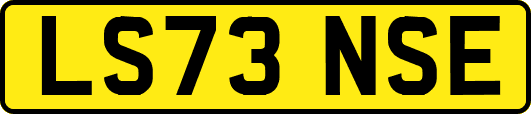 LS73NSE