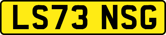 LS73NSG