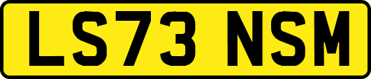 LS73NSM