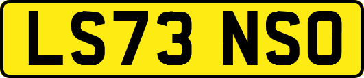 LS73NSO