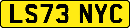 LS73NYC