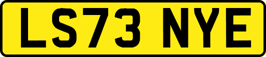 LS73NYE