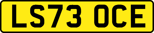 LS73OCE