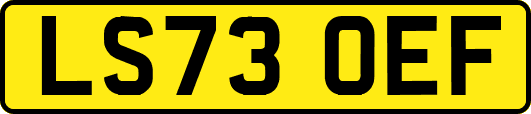 LS73OEF