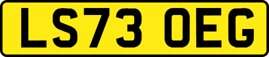 LS73OEG