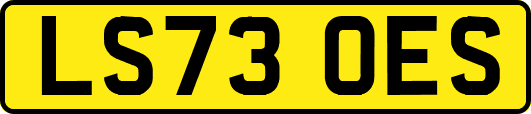 LS73OES