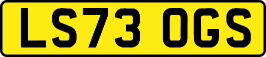 LS73OGS
