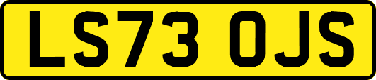 LS73OJS